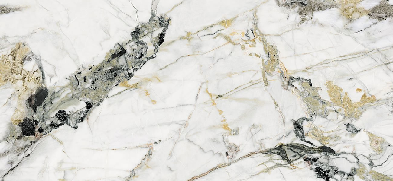 Signature Collection Doro Close Up